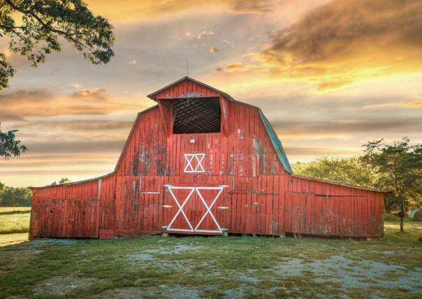 Photo by Sarah Reid, 2021.